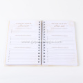 369 Affirmation Manifestation Daily Journal Alternative Title